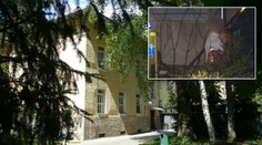 Střelba v Brodě: Víme, kde se ukrývá manželka šíleného střelce!