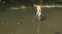 Za otravu Bečvy může společnost Energoaqua. Trest za to ale nedostane
