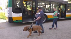 V Liberci soutěžili vodicí psi. Museli najít přechod nebo volné místo v autobusu