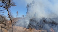 Na Pelhřimovsku hořel les. Hasiči vyhlásili třetí stupeň poplachu