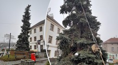 Podívejte se na nejošklivější vánoční strom v republice. Hrůza z jehličí!