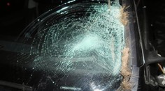 Řidičce na Českolipsku přistál na autě jelen. Parohy zaútočil na přední sklo