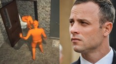 VIDEO: ANIMACE, ze které MRAZÍ! Takhle Pistorius zastřelil přítelkyni. Byl to úmysl?
