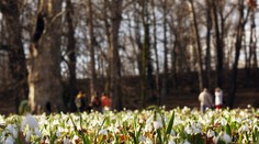 Až −23 °C! Meteorologické jaro začalo mrazivě, přinese ale dny plné sluníčka