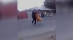 Že se nestydí: Chuligáni roztočili stařenku, že ječela hrůzou! VIDEO