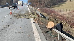Dělník řezal porost u D1, spadl na něj strom. Letěl pro něj vrtulník