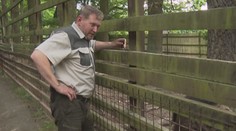 Balák míří k soudu. Za státní peníze měl opravit manželčin traktor