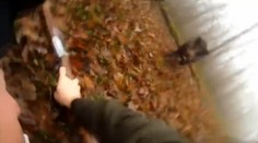 Lov na divočáka: Podívejte se, co se děje, když prase zaútočí na myslivce