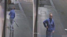 Chmaták s prutem. Zloděj "ulovil" z výlohy drahý náhrdelník! VIDEO