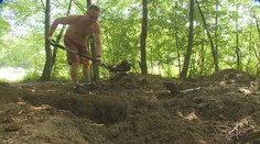 Zloděje nezastavila ani pořádná dřina. Vykopali několik kilometrů kabelů