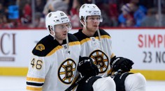 Čtvrtina NHL je za námi. Jak si zatím vedou Češi?