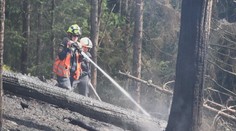 Na Sokolovsku hořel les, s likvidací požáru pomáhali i němečtí hasiči