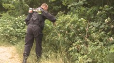 Elišku (20) už hledají přes měsíc. Rodina ani policie stále nemají stopu