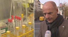 Policie vyšetřuje plzeňské radní a hejtmana. Mohli šířit koronavirus