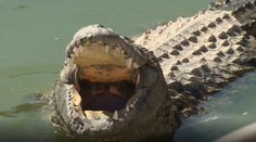 Hororový útok při rybaření: Krokodýl stáhl chlapečka (†1) z lodě a zabil ho