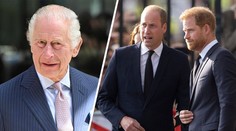 William a Harry ranili krále Karla. Měl na ně srdceryvnou prosbu