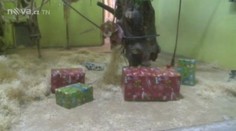 Narozeninová oslava v Zoo! Podívejte se