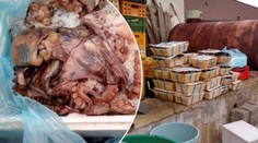 Dvorek plný zkažených ryb! Inspekce zasahovala ve večerce na Teplicku
