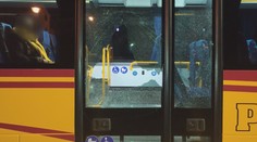 Byla to jen klukovina, tvrdí mladík, který se přiznal ke střelbě na autobus