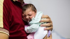 Hledá se pacient Nula. Virus Zika zřejmě rozšířili fotbalisté