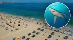 Žralok zaútočil na turistu a kousl ho do ruky! Na ostrov lítají i Češi 