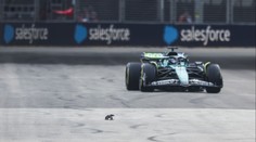 Chaos při tréninku Formule 1. Po trati se mezi monoposty proháněl varan