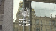 Žena si v Národním muzeu hrála s alarmem. Způsobila milionovou škodu