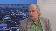 Přísnější pravidla pro označování medu: Až 50 % může být falšovaných, tvrdí analytik Havel