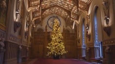 Hrad Windsor už svítí. Vánoční strom tam zdobí přes 33 tisíc světýlek
