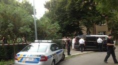 Chlapečka nalezeného v popelnici ve Vršovicích brutálně umlátili!