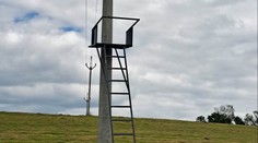 Žádné povolení, žádné ohledy. Posed dali přímo na sloup elektrického vedení