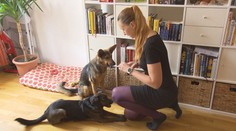 Zdražování nejvíc drtí mladé lidi. Ekonomové radí spořit nebo investovat