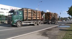 Kůrovcová kalamita ničí silnice! Opravy vyjdou na stovky milionů