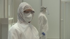 Asijský virus může přinést lidstvu pohromu. Šíří se mezi netopýry
