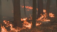 Vědci chtějí začít vypalovat chráněné lokality. Chtějí tak prospět fauně a flóře