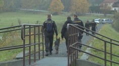 Řidič auta se ukryl v kukuřičném poli. Policejní pes ho ale našel