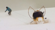 VÍKEND: Doma vyrobené motorové sáně