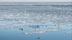 Vědci sledují záhadnou chladnou skvrnu v Atlantském oceánu. Může mít strašlivý dopad