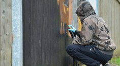 Vandal poničil zeď psího útulku. Místní umělec nabídl pomoc