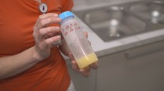 Jihlavská nemocnice otvírá sběrnu mateřského mléka. Maminky mohou darovat přebytečné