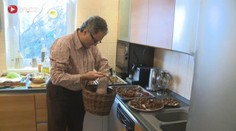 České lesy jsou plné hub! RECEPT NA VÝBORNÝ SALÁT