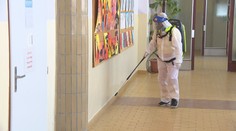 Škola, kde pavouk kousl žáka, je stále zavřená. Někdo ho tam asi donesl