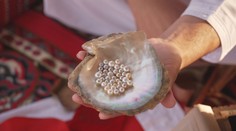 Vylovte perlu a vydělejte desetitisíce. Farma nabízí nevšední zážitek