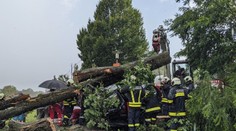 Při prudké bouřce spadl na minibus strom. Nehoda si vyžádala tři mrtvé