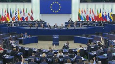 Europoslanci měli kvůli normě o ochraně přírody čelit vydírání a vyhrožování
