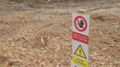 Obojživelníci blokují stavbu cyklostezky v Hradci Králové. Město hledá řešení