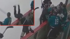 Přeskočilo mu? Agresivní hokejista málem přizabil soupeře!