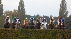 ON-LINE: Velkou Pardubickou vyhrála ORPHEE DES BLINS, Váňa dojel až třetí
