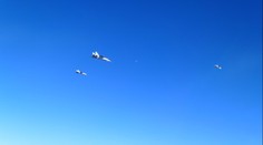 NATO zachytilo ruské stíhačky u Lotyšska. Vzlétly maďarské gripeny