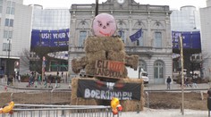 Zemědělci jsou nespokojení napříč Evropou. V Bruselu demonstrovali